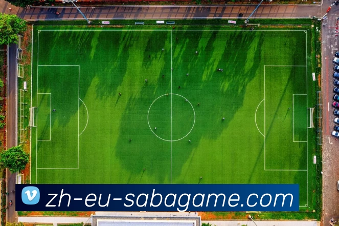 App Interface Preview